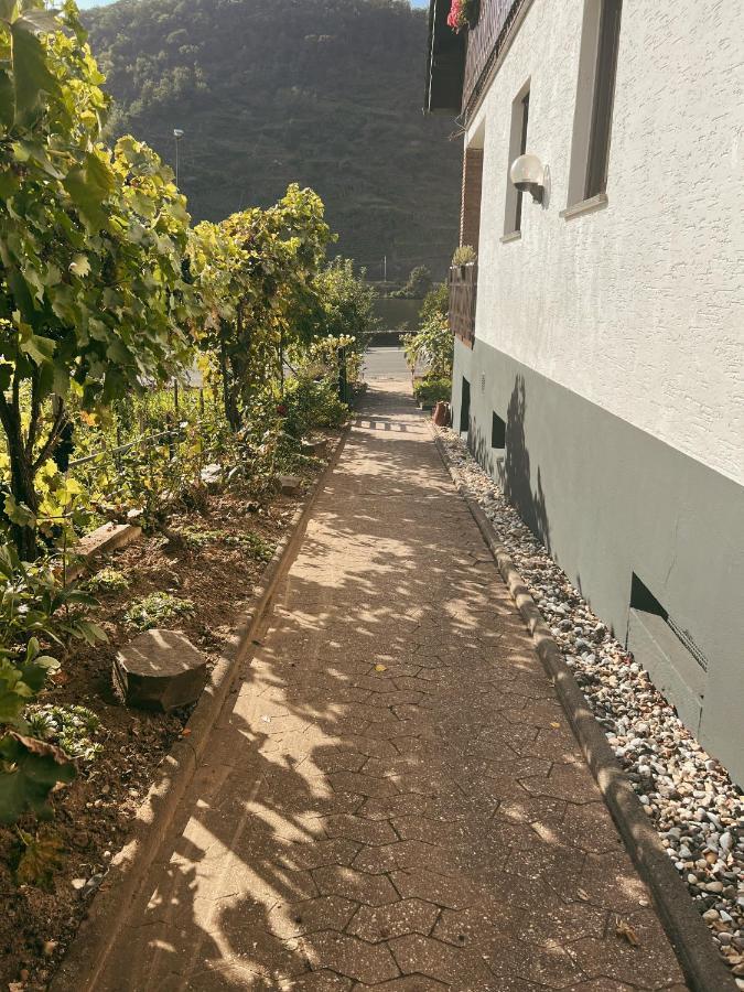 Ferienwohnung Moselflair Mit Direktem Blick Auf Die Mosel Und Weinberge Oberfell Exteriér fotografie